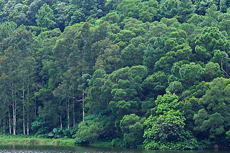 带木柴的湖泊林地植物群季节溪流晴天红色风景镜子公园叶子图片