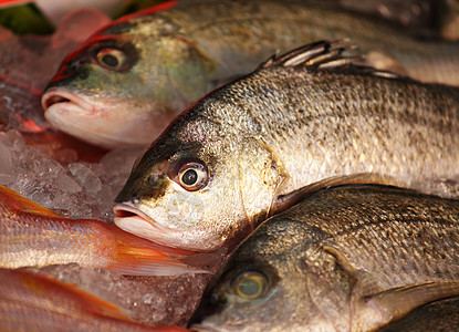 供出售的鱼香菜市场食物钓鱼销售柠檬海鲜店铺海洋营养图片