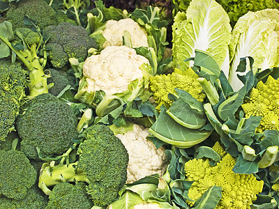 白叶洋葱菜花食物红色白线烹饪蔬菜绿色沙拉厨房图片