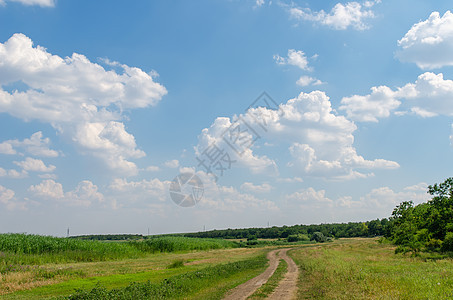 农村道路和牧场 绿树和蓝天空图片