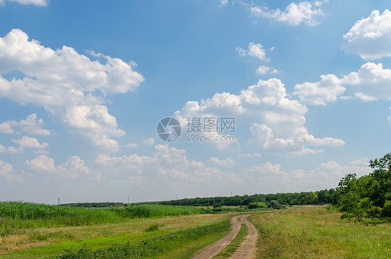 农村道路和牧场 绿树和蓝天空图片