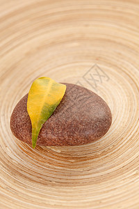 石头上的黄叶岩石药品叶子植物群环境黄色冥想温泉木头植物图片