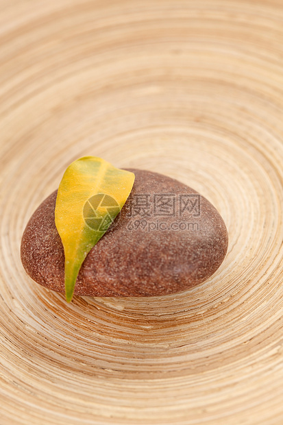石头上的黄叶岩石药品叶子植物群环境黄色冥想温泉木头植物图片