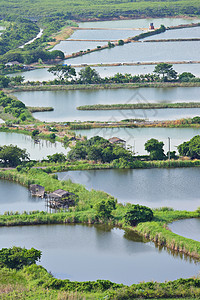 鱼池塘房子钓鱼栖息地农业蓝色水池孵化场环境地平线食物图片