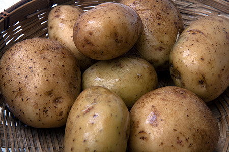 马铃薯土豆食物植物淀粉蔬菜图片