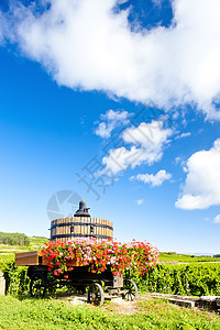 法国伯根迪波曼达附近的科特德博恩葡萄园藤蔓栽培农业葡萄位置植物乡村农村葡萄园酒业图片