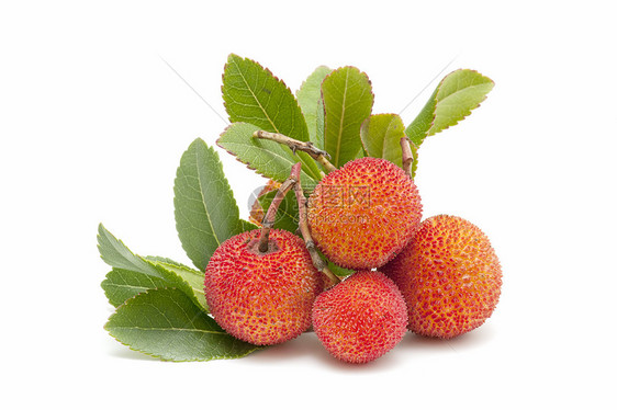 异丁体季节植物浆果甜点水果白色宏观植物群叶子食物图片