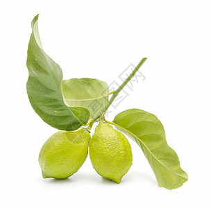 新鲜柠檬植物素食水果季节食物石灰绿图片