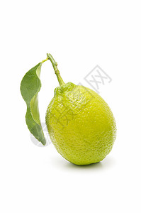 新鲜柠檬季节食物植物石灰绿素食水果图片
