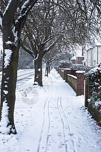 白雪路径路面天气魔法小路住宅分支机构场景木头植物邻里图片