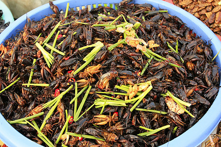 出售的炸鸡 柬埔寨油炸异国绿色蟑螂情调蚱蜢托盘小吃食物昆虫图片
