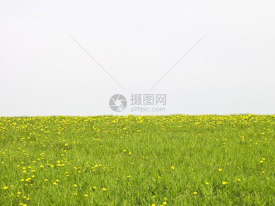 草草面积天空草地风景场地土地自由园景田园农业环境保护图片