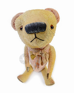单身的朋友棕色玩物婴儿玩具熊动物礼物玩具工作室褐色图片