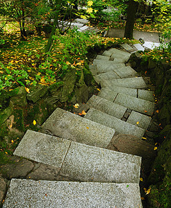 通往天堂的楼梯美化石头园林住宅植物绿化门廊旅行房子卷曲图片