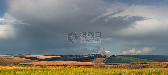 农业领域全景家庭文化谷物娱乐蓝色天空粮食植物学城市图片