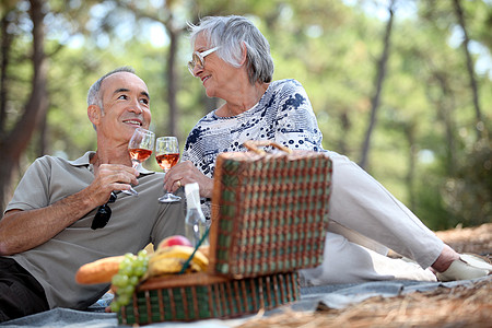 情侣一起享受野餐夫妻森林酒精柳条男人干杯女士玻璃瓶子树木图片