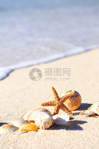 海星在海滩上风景旅行天堂海浪阳光异国天空海岸假期旅游图片