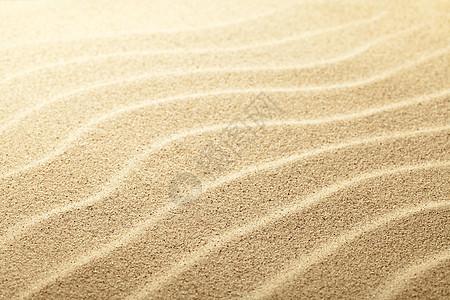 沙沙背景褐色粮食海岸沙漠热带海洋假期材料海滩粒状图片