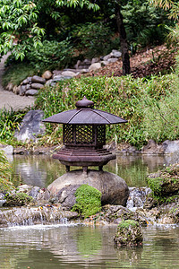 日本灯笼鱼池园景池塘盆栽园林文化院子石头植物绿化图片