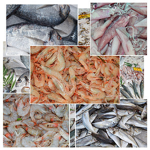 鱼类动物寒意销售演说者对虾小龙虾市场甲壳背景图片