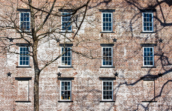 旧砖楼博物馆社区历史性树木阴影球衣历史地标公园殖民图片