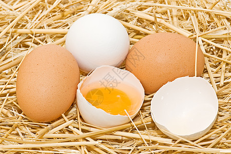 新鲜鸡蛋维生素营养母鸡食物商业家畜家禽黄色背景图片