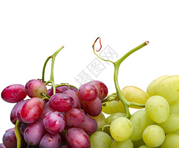 新鲜的绿葡萄和玫瑰葡萄工作室甜点食物酒厂水果白色绿色藤蔓玫瑰图片