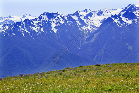 雪山飓风岭奥林匹克国家公园华盛顿公吨高山国家远景岩石风景顶峰旅行首脑雪山图片
