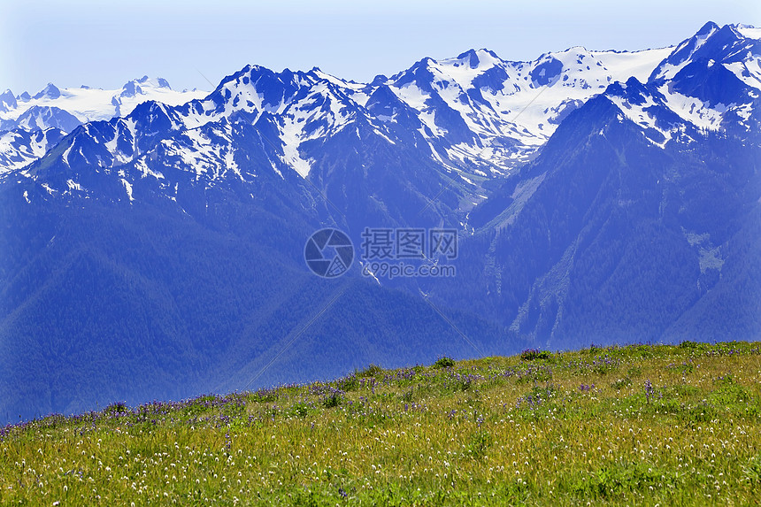 雪山飓风岭奥林匹克国家公园华盛顿公吨高山国家远景岩石风景顶峰旅行首脑雪山高清图片下载-正版图片320960851-摄图网