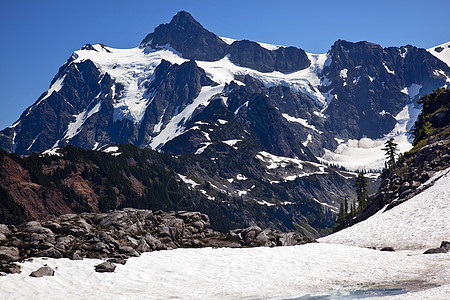 Snowfields 艺术家点冰川山Shuksan山华盛顿州图片