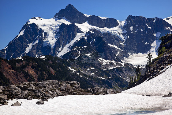 Snowfields 艺术家点冰川山Shuksan山华盛顿州图片