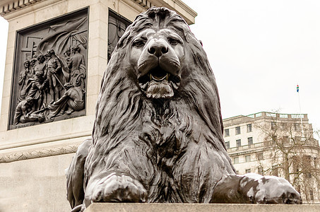 Trafalgar广场狮子雕像 联合王国伦敦建筑历史性胜利艺术游客旅游青铜雕塑帝国男性图片