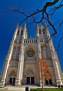 国家大教堂洗衣机 dc  亚普尔5 2013年宗教上帝植物雕塑树木衬套祷告教会基督首都图片