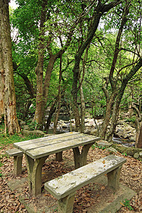 森林中的恶劣地点桌子奢华休息叶子花园植物小路季节森林家具图片
