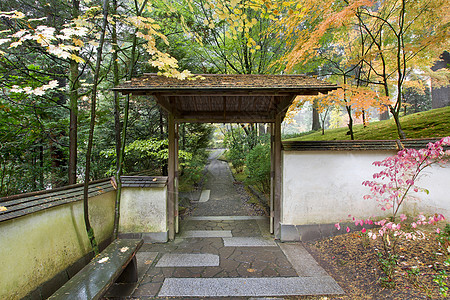 日本花园的门和道 门图片