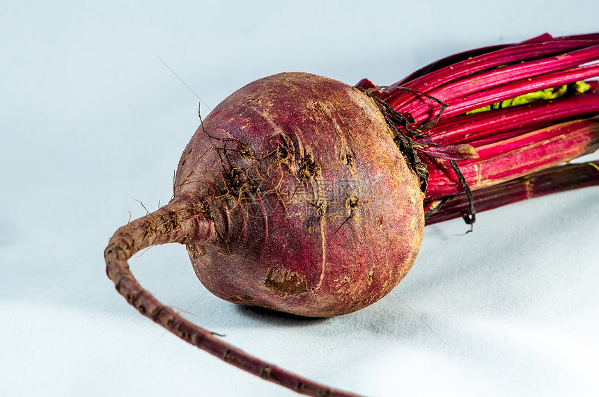 白色背景上的甜菜根高清图片下载正版图片320961594摄图网