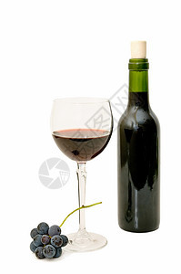 酒的活物酒精瓶子藤蔓储备水果红色静物液体绿色饮料图片