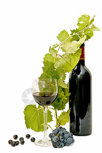 酒的活物瓶子酒精液体红色静物水果藤蔓储备饮料绿色图片