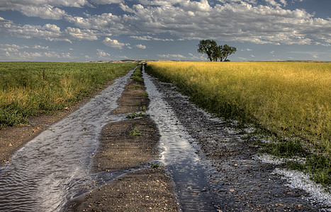 帕蕊路暴云车道风景全景农场环境国家阳光蓝色地形农业图片