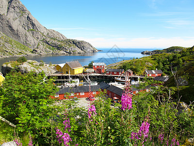 挪威景观挪威村庄游客乡村旅行晴天旅游自由岩石海湾峡湾图片