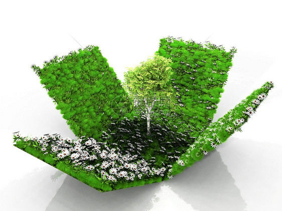 以草花和树的立方体场地艺术花园环境绿色衬套插图花朵植物图片