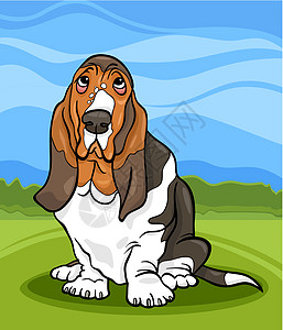 Basset 猎犬狗漫画插图卡通片猎犬小狗吉祥物公园犬类绘画褶皱天空尾巴图片