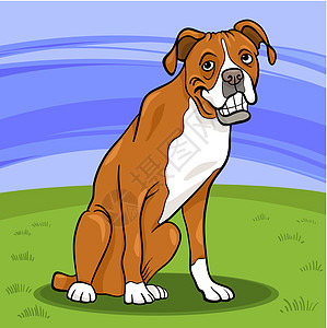 框框纯种狗卡通插图尾巴绘画犬类国家小狗宠物拳击手卡通片乡村场景背景图片