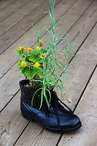 靴子中的鲜花人行道农业种植生长鞋类造型石头花盆垃圾季节图片