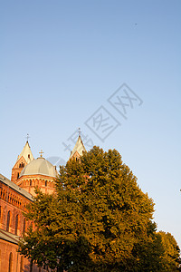 哥特教会教会建筑学圆顶天空粉色大教堂日落蓝色建筑城市图片