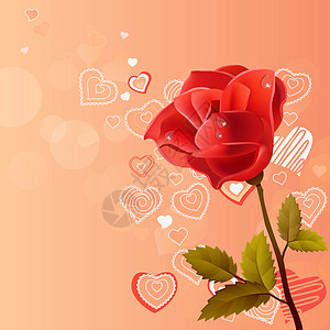 玫瑰粉红背景叶子横幅纪念日展示植物群周年样本艺术海报夹子图片