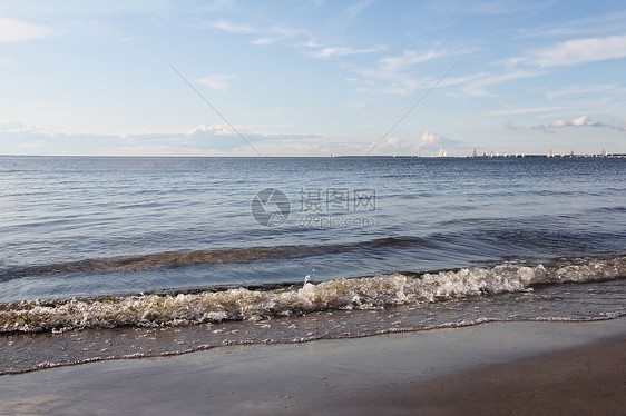 浏览冲浪和游艇图片