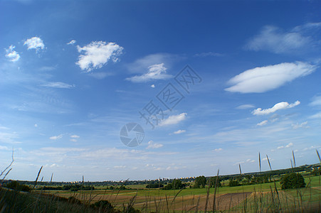 春光草地和天空蓝色绿色干草地平线图片