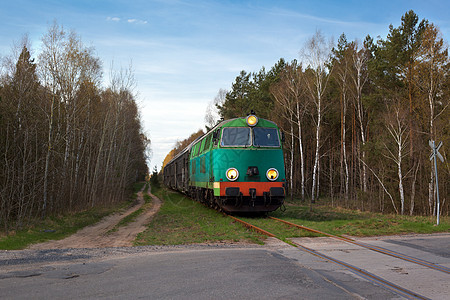 穿越森林的客车列车日光旅行摄影农村火车车辆水平铁路树木运输图片