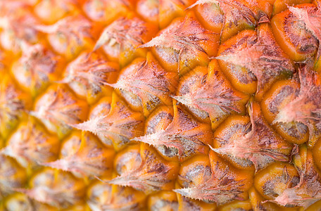 详细菠萝贴近甜点松树橙子果皮水果养分饮食食物情调宏观图片
